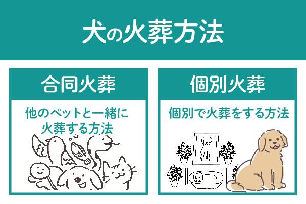 犬の火葬方法