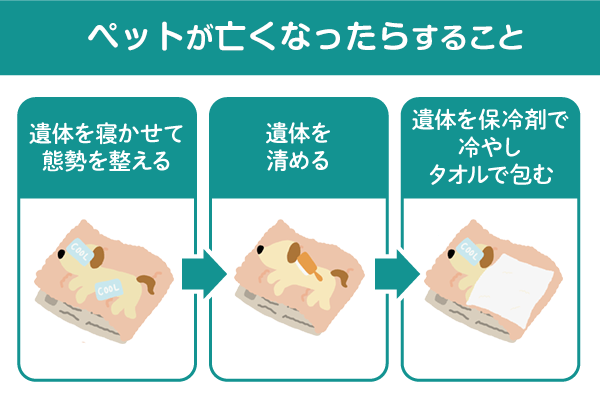 ペットが亡くなったらすること