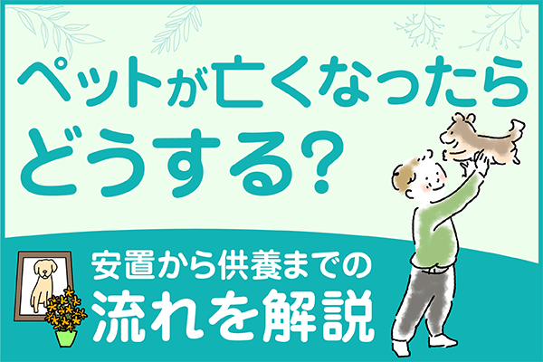 ペットが亡くなったらどうする？安置から供養までの流れを解説