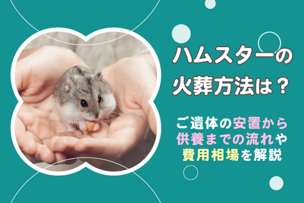 ハムスターの火葬方法は？ご遺体の安置から供養までの流れや費用相場を解説