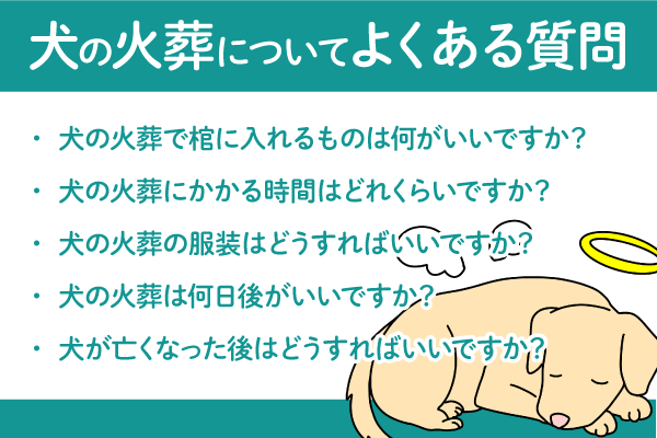 犬の火葬についてよくある質問