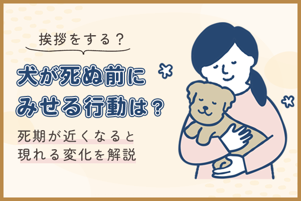 犬が死ぬ前にみせる行動は？挨拶をする？死期が近くなると現れる変化を解説