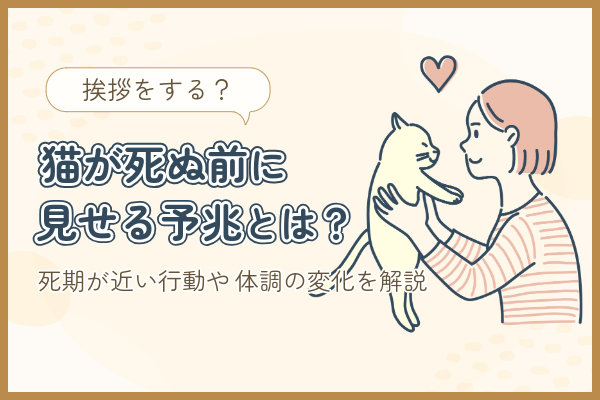 猫が死ぬ前に見せる兆候とは？挨拶をする？死期が近い行動や体調の変化を解説