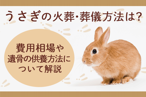 うさぎの火葬・葬儀方法は？費用相場や遺骨の供養方法について解説