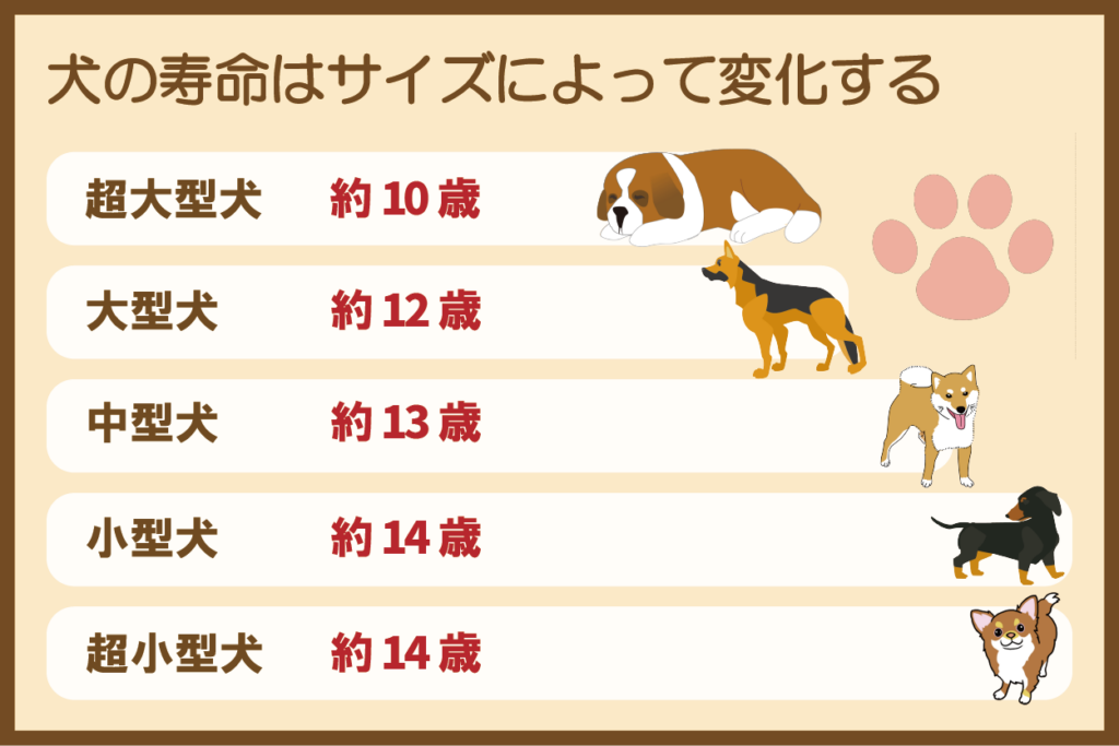 犬の寿命はサイズによって変化する