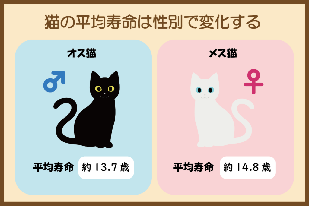 猫の平均寿命は性別で変化する