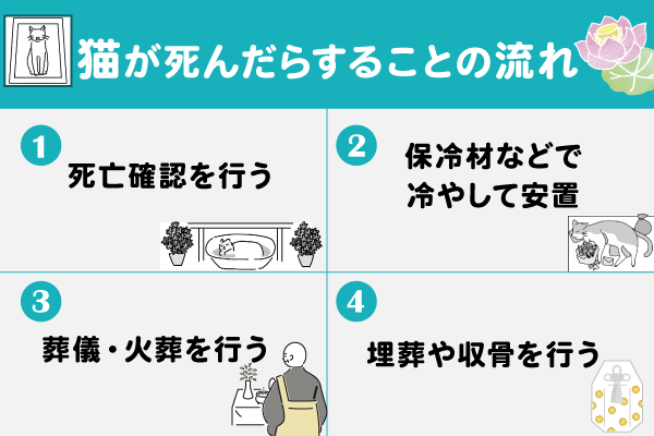 猫が死んだらすることの流れ