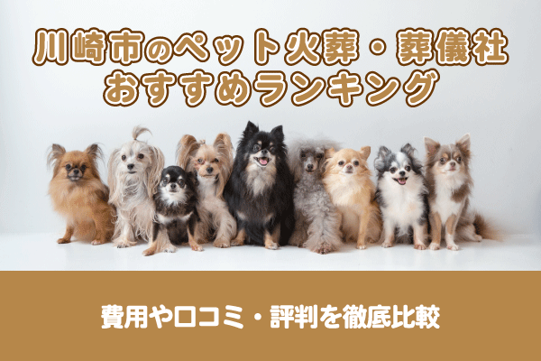 川崎市のペット火葬・葬儀社おすすめ5選！費用や口コミ・評判を徹底比較