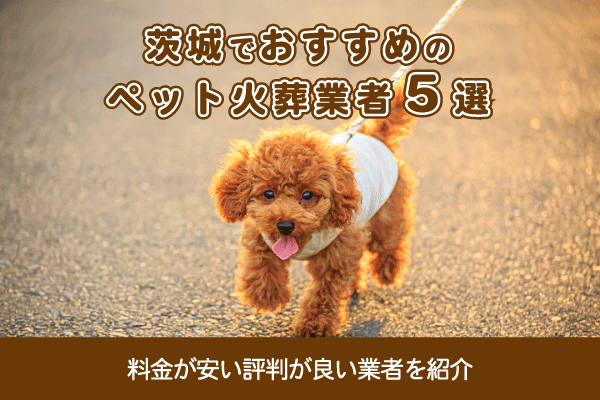 茨城でおすすめのペット火葬業者5選！料金が安い評判が良い業者を紹介