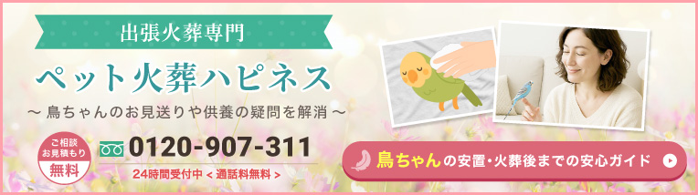 鳥ちゃんの安置・火葬後までの安心ガイド