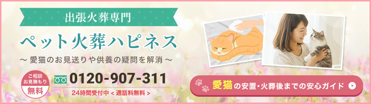 愛猫の安置・火葬後までの安心ガイド