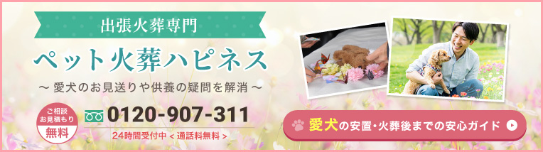 愛犬の安置・火葬後までの安心ガイド