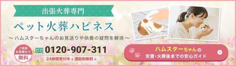 ハムスターちゃんの安置・火葬後までの安心ガイド