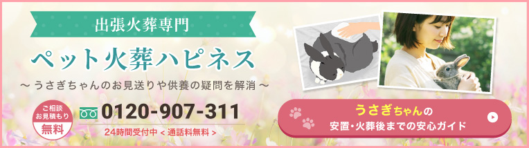 うさぎちゃんの安置・火葬後までの安心ガイド