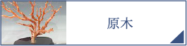 原木（PC）