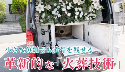 「まいどなニュース」に取材記事が掲載