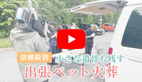 MBS毎日放送「よんチャンTV」